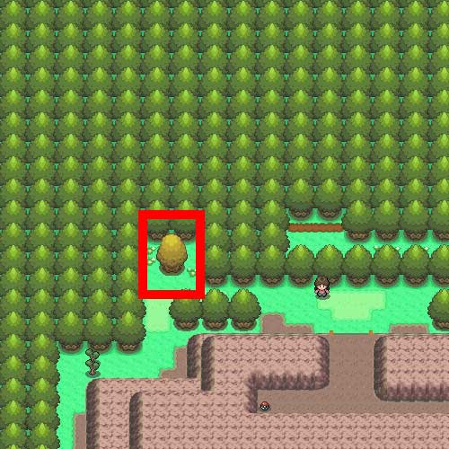 ハクタイの森（外部）