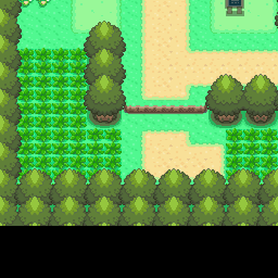 202番道路｜ポケモンダイヤモンド・パール・プラチナ攻略｜ゲームの匠