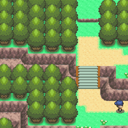 204番道路｜ポケモンダイヤモンド・パール・プラチナ攻略｜ゲームの匠