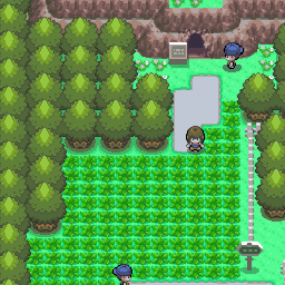 204番道路｜ポケモンダイヤモンド・パール・プラチナ攻略｜ゲームの匠
