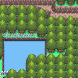 204番道路｜ポケモンダイヤモンド・パール・プラチナ攻略｜ゲームの匠