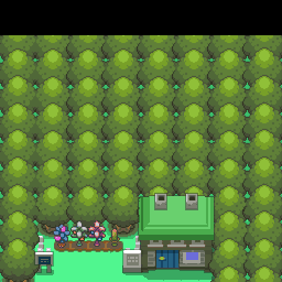 ポケモンパール 208番道路｜ポケモンダイヤモンド・パール・プラチナ攻略｜ゲームの匠