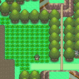 ポケモンプラチナ 212番道路｜ポケモンダイヤモンド・パール・プラチナ攻略｜ゲームの匠