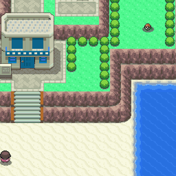 213番道路｜ポケモンダイヤモンド・パール・プラチナ攻略｜ゲームの匠