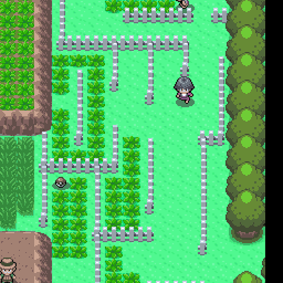 214番道路｜ポケモンダイヤモンド・パール・プラチナ攻略｜ゲームの匠