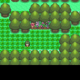 221番道路｜ポケモンダイヤモンド・パール・プラチナ攻略｜ゲームの匠