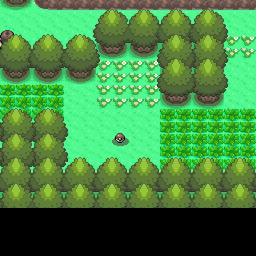 221番道路｜ポケモンダイヤモンド・パール・プラチナ攻略｜ゲームの匠