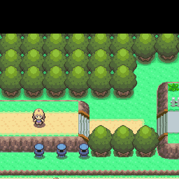 222番道路｜ポケモンダイヤモンド・パール・プラチナ攻略｜ゲームの匠