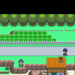 222番道路｜ポケモンダイヤモンド・パール・プラチナ攻略｜ゲームの匠