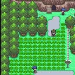 204番道路｜ポケモンダイヤモンド・パール・プラチナ攻略｜ゲームの匠