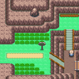 210番道路｜ポケモンダイヤモンド・パール・プラチナ攻略｜ゲームの匠
