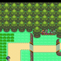 222番道路｜ポケモンダイヤモンド・パール・プラチナ攻略｜ゲームの匠