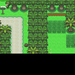 229番道路｜ポケモンダイヤモンド・パール・プラチナ攻略｜ゲームの匠